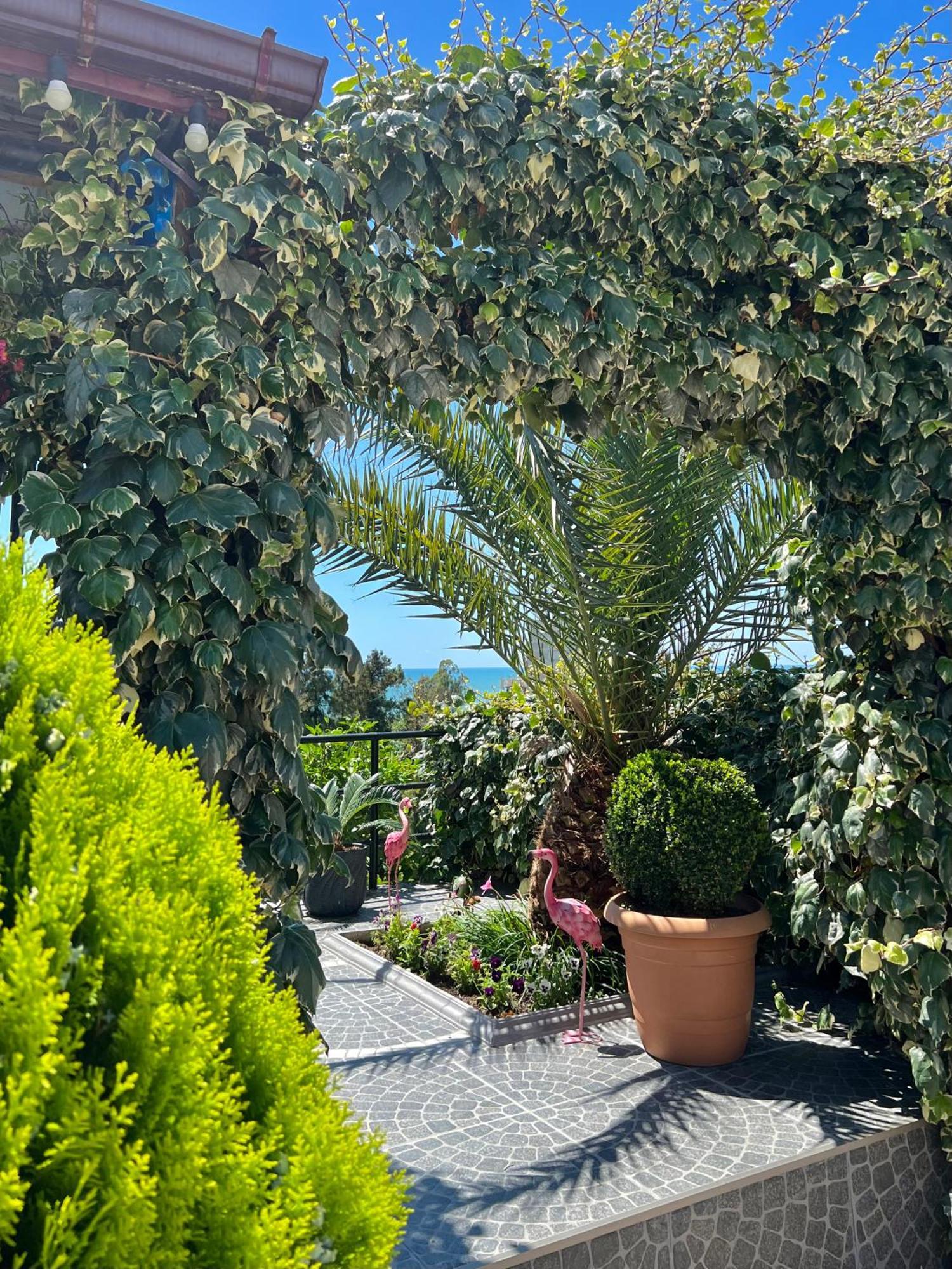 Kemeni Garden Hotell Batumi Exteriör bild
